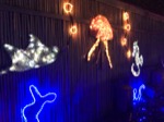 resIMG_20181221_180922_5155.JPG